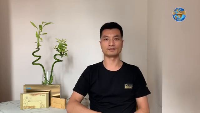 Fohow - онлайн. Регуляция организма при проблемах с почками. Специалист МБК Fohow - доктор Ло Цзы Фа