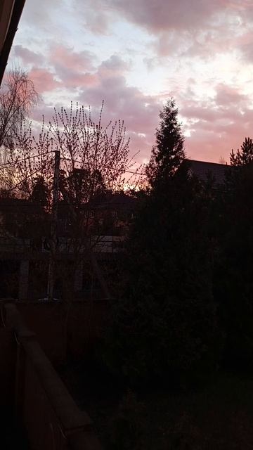 Почему в Малаховке сна не жалко, в апреле?