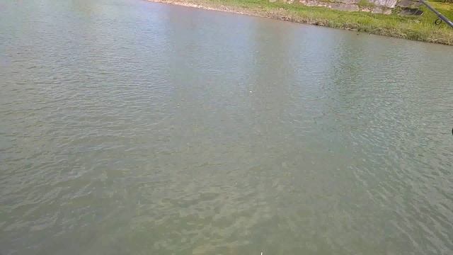 Китайский телескопический спиннинг. Часть 2. Параболик.