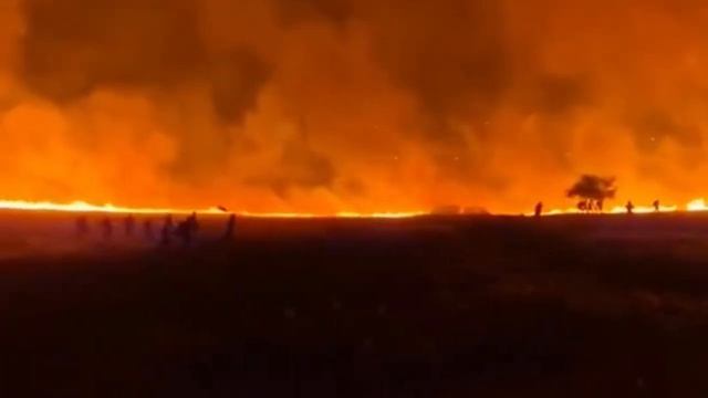 Israel News_ INSANE WILDFIRES In Jerusalem – Real-Time Evacuation LIVE