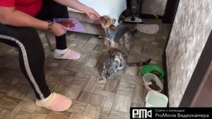 Готовим вместе ЖРАТЬ❗️💃🇷🇺