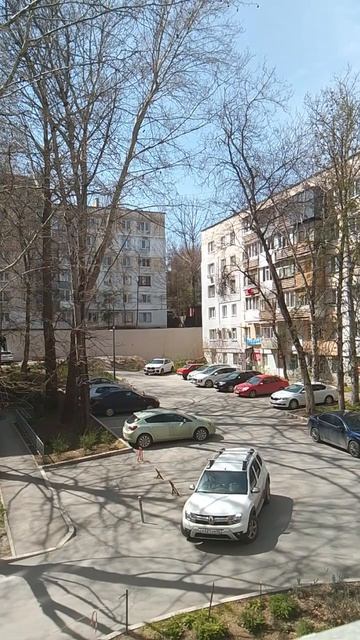 новости главное