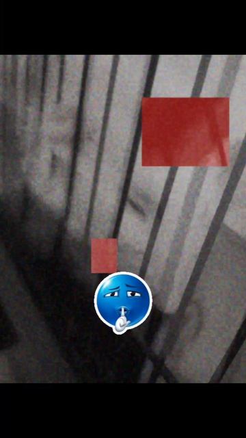 Эдит рататуй