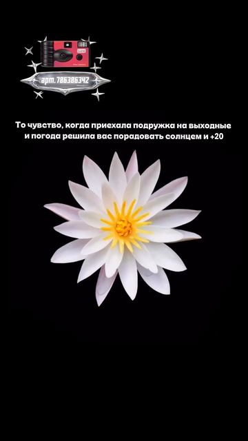 Плёночный фотоаппарат на 36 кадров (Артикул WB: #WW360391)💕