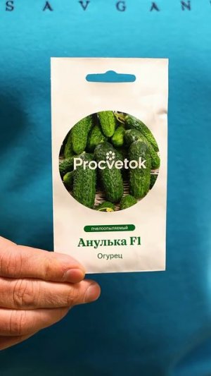 Это лучшие огурцы для открытого грунта! Крепкие, хрустящие, плодоносят до морозов
