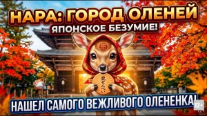 ЯПОНИЯ, О КОТОРОЙ ВЫ НЕ ЗНАЛИ: НАРА – ГОРОД, ГДЕ ПРАВЯТ ОЛЕНИ! ЧАСТЬ 2 #anton_mygt