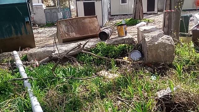 Вандализм в Кисловодске! апрель-2026 год.