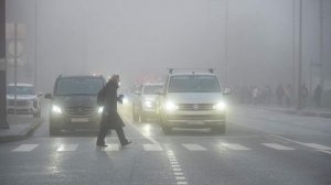 В Подмосковье «желтый» уровень опасности из-за тумана объявлен с вечера пятницы