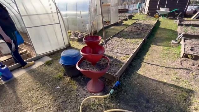 Наш эксперимент - высадили томаты в теплицуЗапустили водопровод в дом