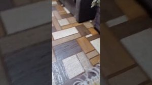 с͛а͛м͛б͛о͛