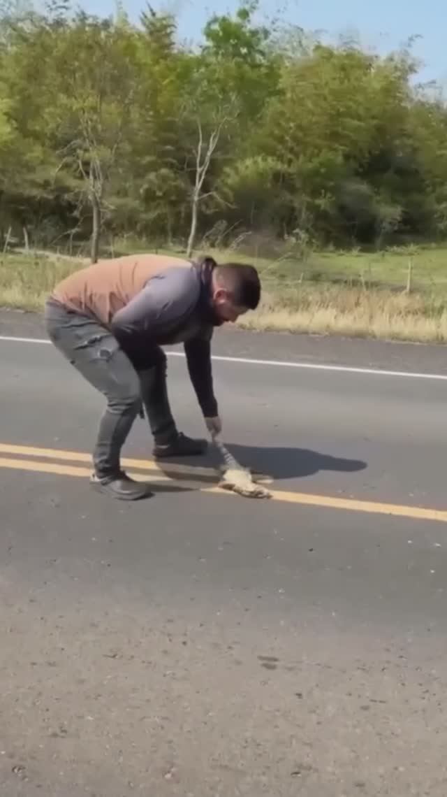 Чёрный юмор. Ловушка рептилойдов.