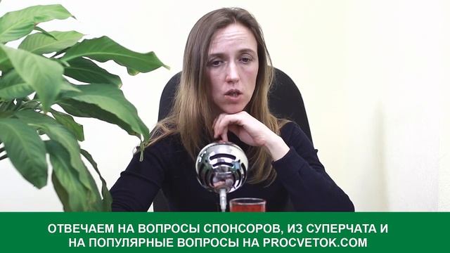 Важные весенние работы в плодовом саду