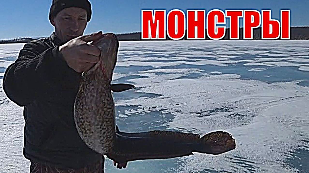 Рыбалка на севере.