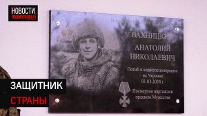 В школе под Солнечногорском увековечили память героя СВО