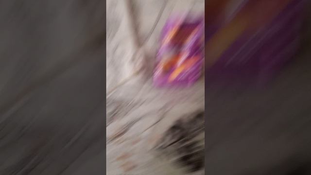 едим норм еду