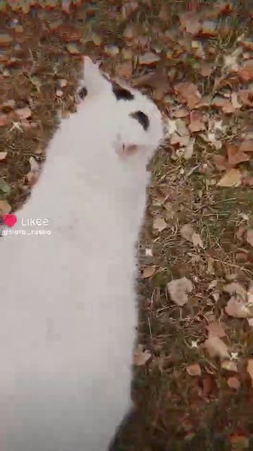 KIARA_RUSSIA kiararussia kiara киара