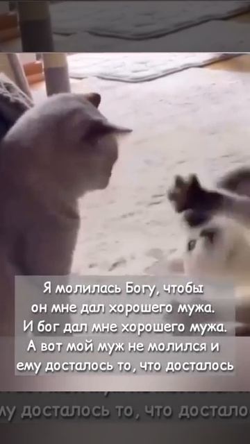 Действительно 🤣🤣🤣