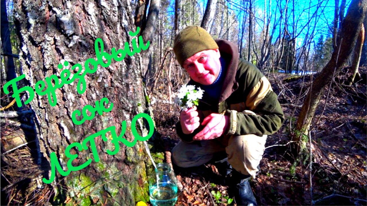 Жизнь в глубинке. Кормушка для пчёл. Мангал. Берёзовый сок. У Лесного дома.