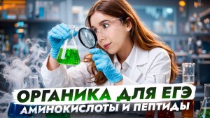 Аминокислоты и пептиды для ЕГЭ по химии | Органика с нуля