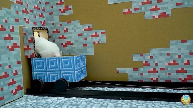 Хомячок убегает из ловушки голодных акул в водном лабиринте! часть 12