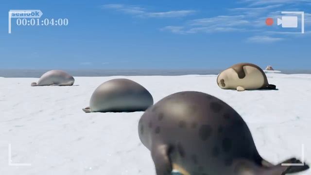 Морские Котики SEALOOK 40