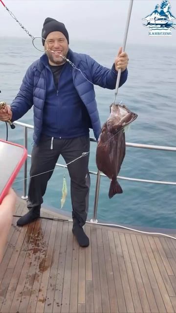 Камчатка которую нельзя просто увидеть  её нужно прожить 