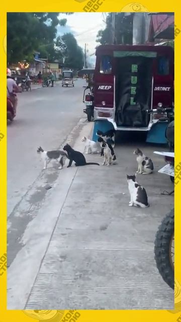 что-то назревает - заходи в вк --﹥ Https://vk.com/peshkom_postoyu_smile_vk