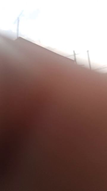 утро начинается с голубей.