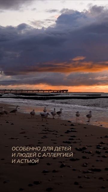 апартаменты калининград балтийскоеморе аренданедвижимости курортнаянедвижимость инвестиции