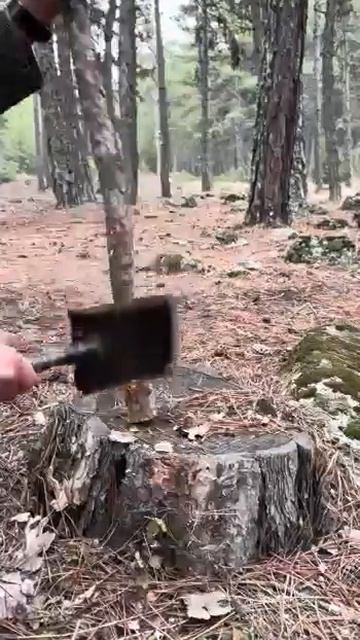 Видео от Походы Выживание Бушкрафт