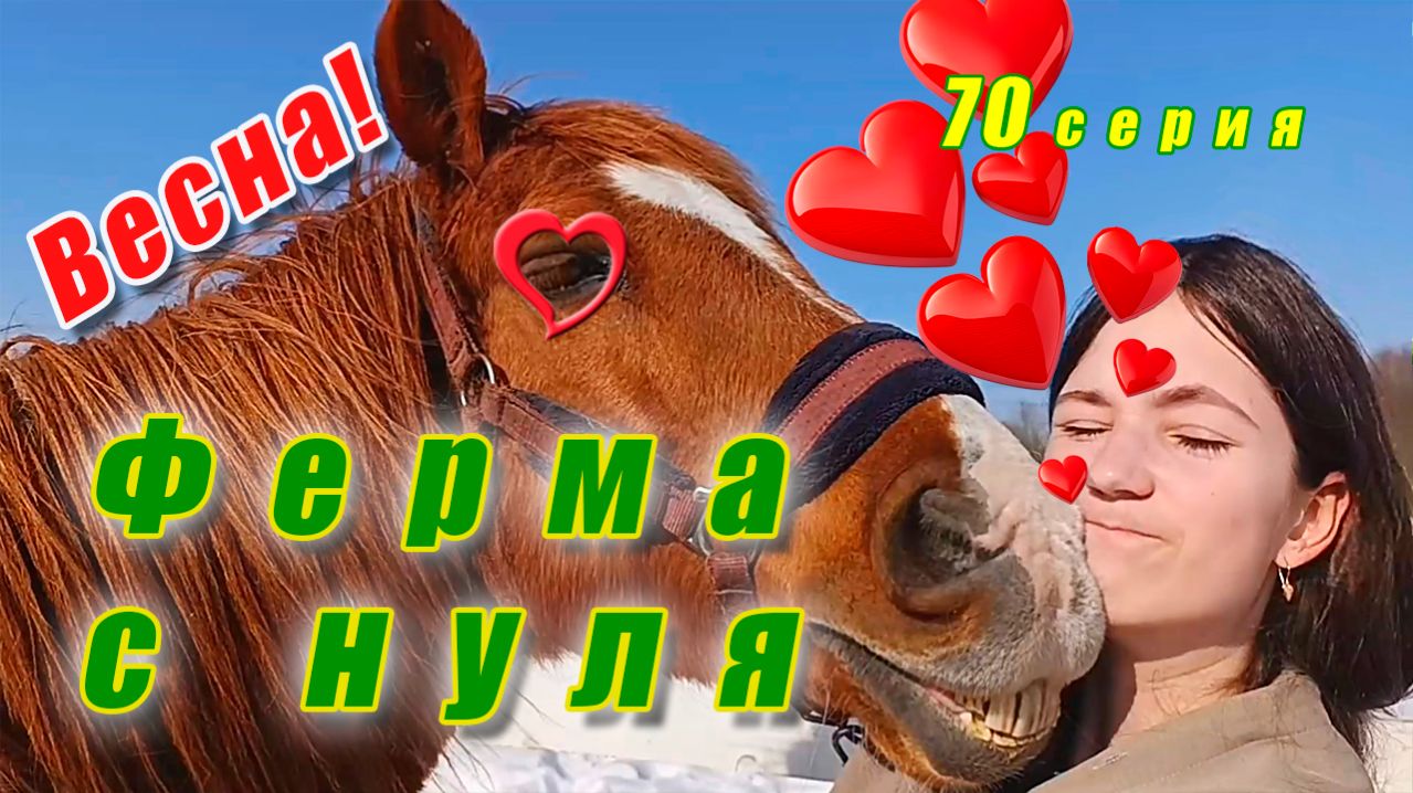 Весне дорогу! / День Чубакку / Грузим много сена / Гуляем в поле