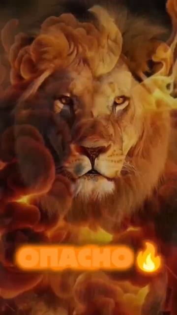 стоп... ЧТО!?!!?!!!?!!?!!!?!??!??!