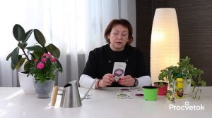 НЕ СЕЙТЕ АСТРЫ ПОКА НЕ УЗНАЕТЕ ЭТИ ХИТРОСТИ! Важные нюансы, от которых зависит цветение