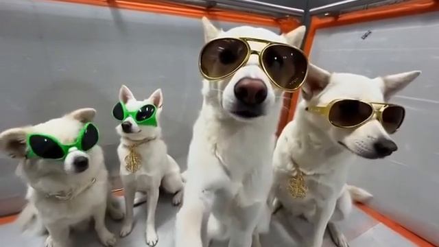 Я и мои коллеги... Все ждем вечер пятницы - начало выходных!!! 