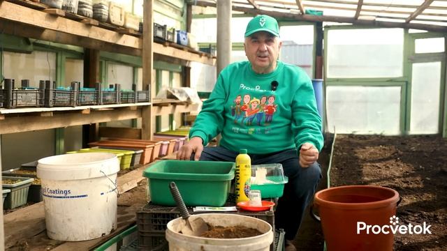 ОГУРЦЫ БУДЕТЕ СОБИРАТЬ ВЕДРАМИ, если знаете эти секреты посева!