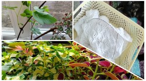 Я опять экспериментирую ☺️