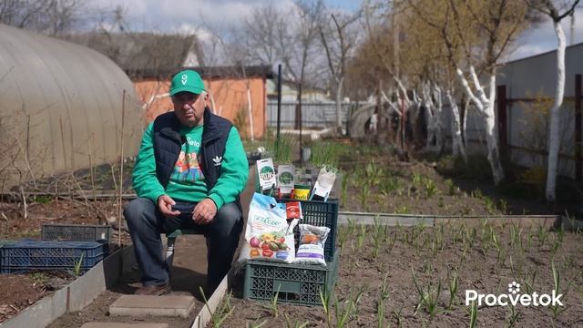ОЧЕНЬ ВАЖНАЯ ПОДКОРМКА ЧЕСНОКА И ЛУКА ВЕСНОЙ, от которой зависит урожай! Не пропустите!