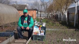 ОЧЕНЬ ВАЖНАЯ ПОДКОРМКА ЧЕСНОКА И ЛУКА ВЕСНОЙ, от которой зависит урожай! Не пропустите!