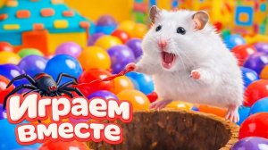 ХОМЯК ВЫБИРАЕТСЯ ИЗ СЕКРЕТНОЙ ХОМЯЧЕЙ ТЮРЬМЫ ! часть 4 🐹 Помогаем выбраться из лабиринта !