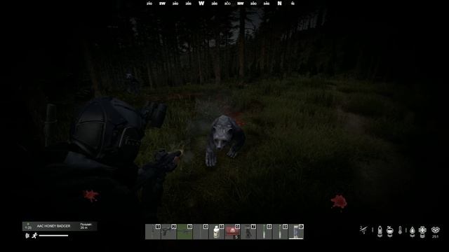 DayZ | ATOM NemesiS |PVE | Встретил медвежат :-) | #dayz #dayznemesis #qwertysev