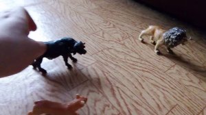 Слон пришёл на помощь буйволу, когда на него напали лев со львицей.