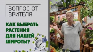 Как выбрать растение из большого ассортимента и найти именно те, что предназначены для наших широт.