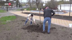 Озеленение Красного Сулина