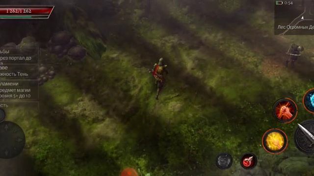 1000020579.mp4oflaine