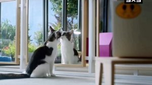 3X3ÄŃØḾÁŁŸ²⁰²⁶.mp4