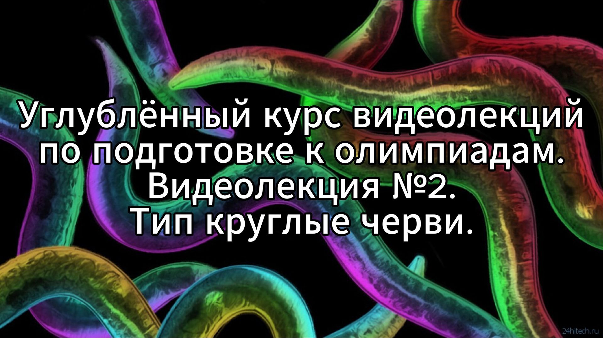 2. Тип круглые черви - общая характеристика систематика жизненные циклы.