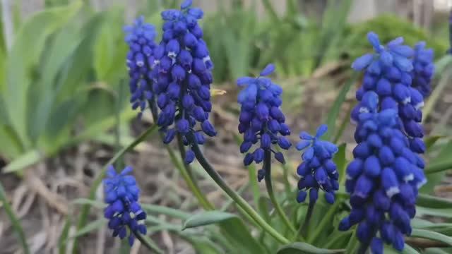 Подарок для 