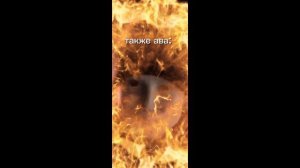 надеюсь это станет мемом