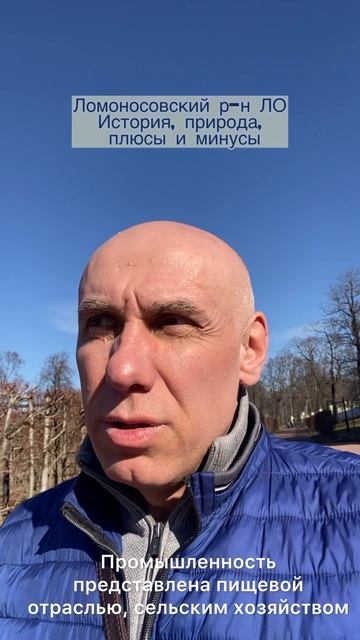 Стоит ли покупать загородный дом или дачу в Ломоносовском районе Ленобласти? Обзор района ЛО.