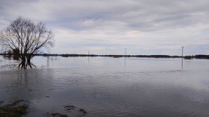 Разлив, вода снова прибывает.Видео снято 16.04.26г.